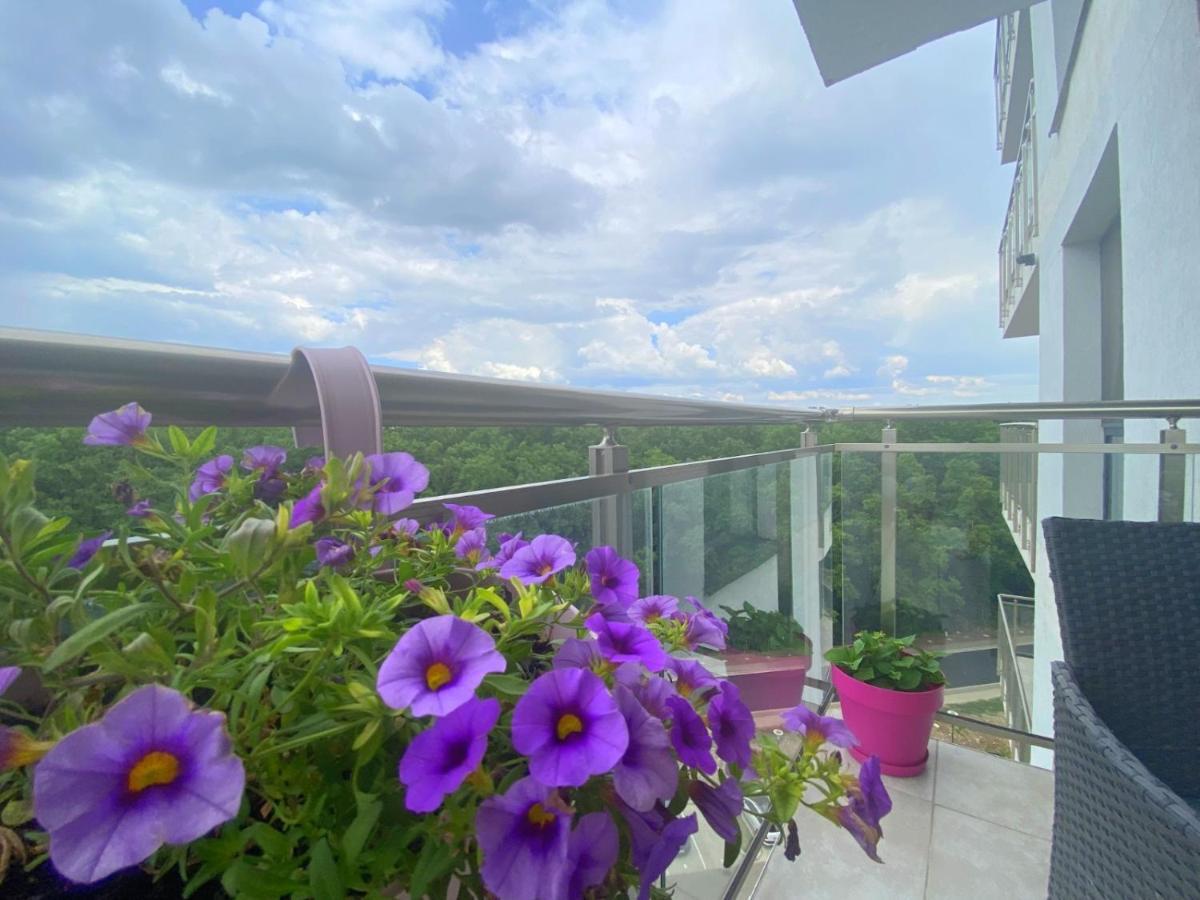 Foresthouse 1 Timisoara Bagian luar foto